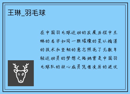 王琳_羽毛球