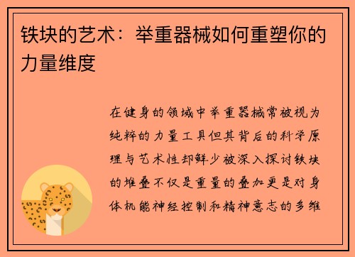 铁块的艺术：举重器械如何重塑你的力量维度